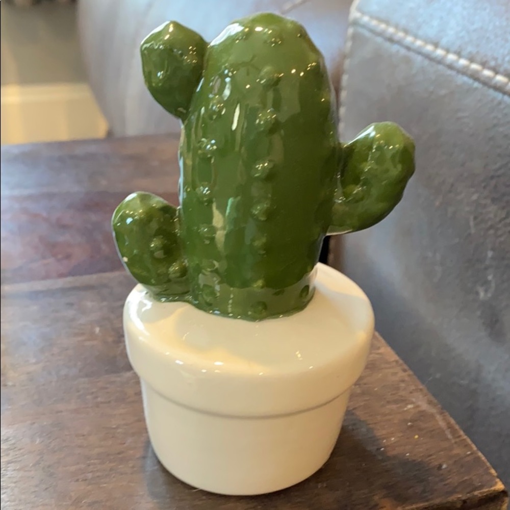 Decorative porcelain cactus lot